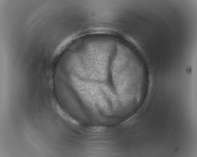 X0000111791403200908131401