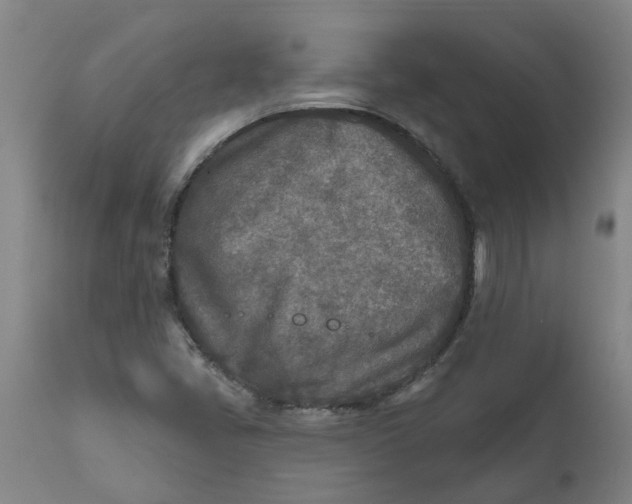 X0000111791405200908131401