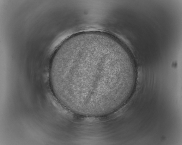 X0000111791407200908131401