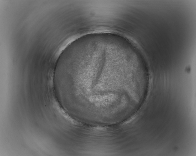 X0000111791409200908131401