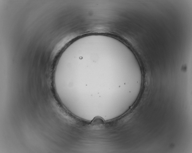 X0000111791410200908131401