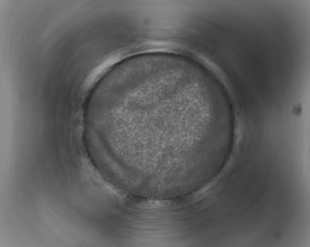 X0000111791411200908131401