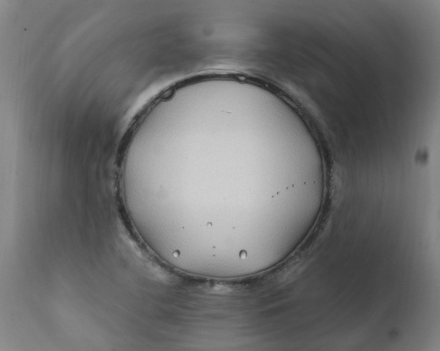 X0000111791412200908131401