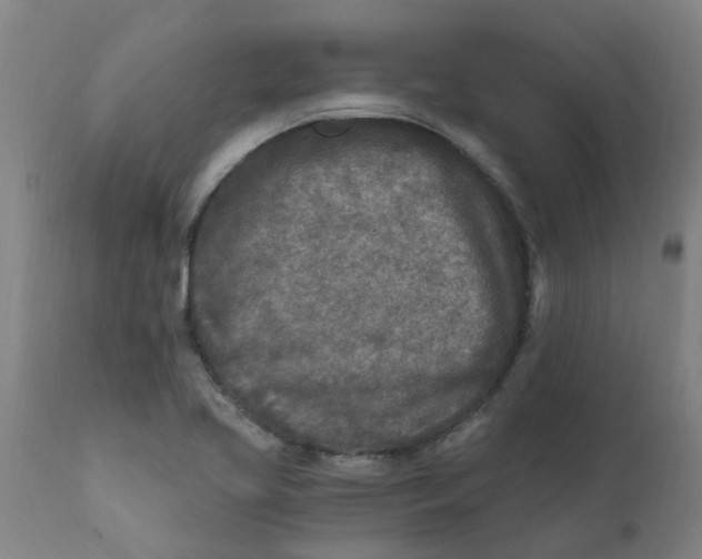 X0000111791413200908131401