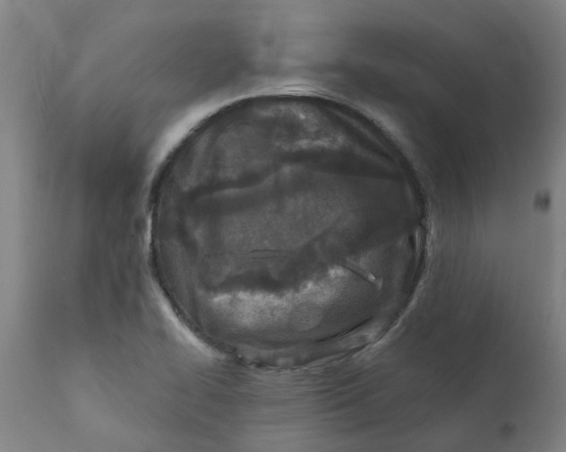 X0000111791414200908131401