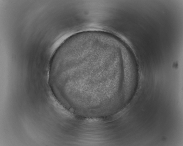 X0000111791415200908131401