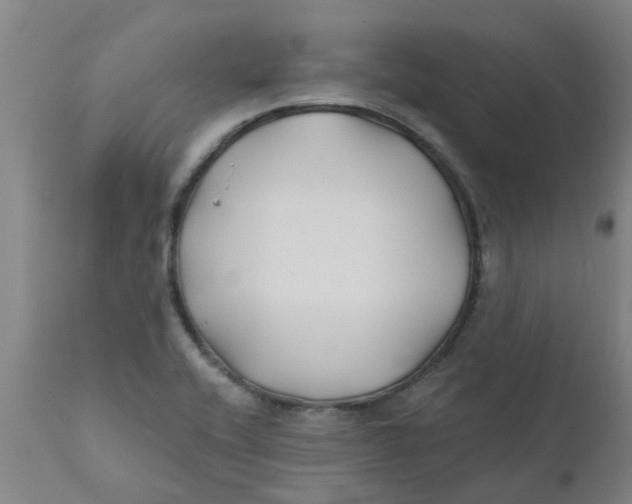 X0000111791416200908131401