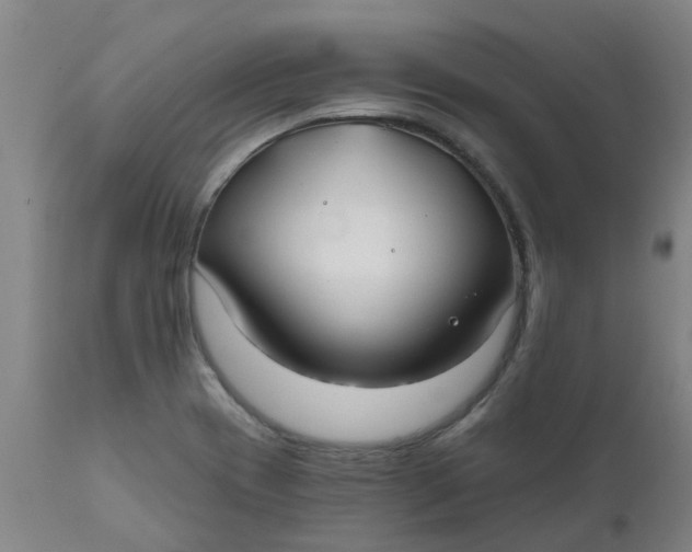 X0000111791417200908131401