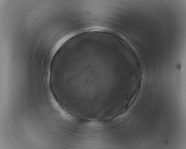 X0000111791418200908131401