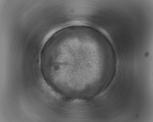 X0000111791419200908131401