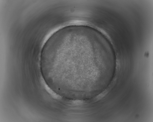 X0000111791421200908131401