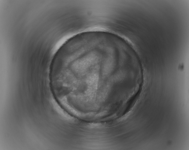 X0000111791422200908131401