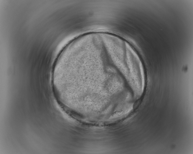 X0000111791424200908131401