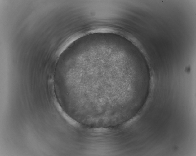 X0000111791425200908131401