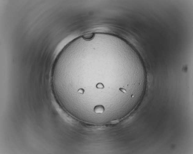 X0000111791426200908131402