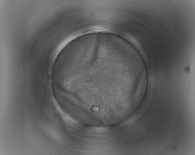 X0000111791427200908131402