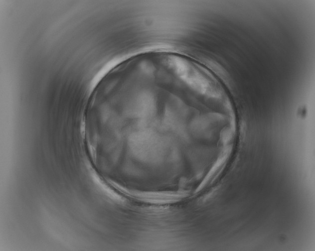 X0000111791428200908131402