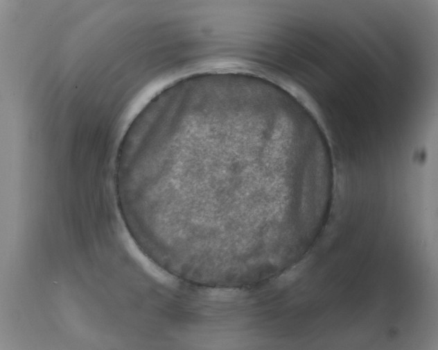 X0000111791429200908131402