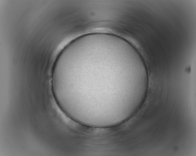 X0000111791430200908131402