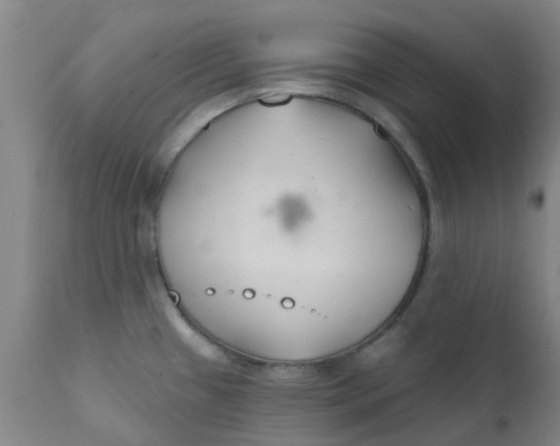 X0000111791433200908131402