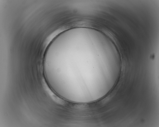 X0000111791434200908131402