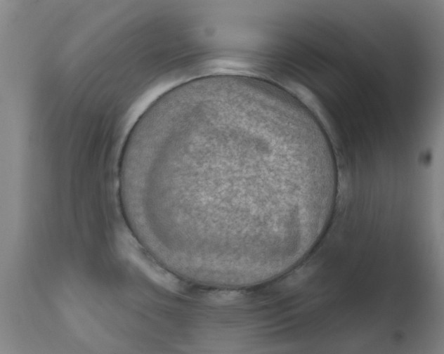 X0000111791435200908131402