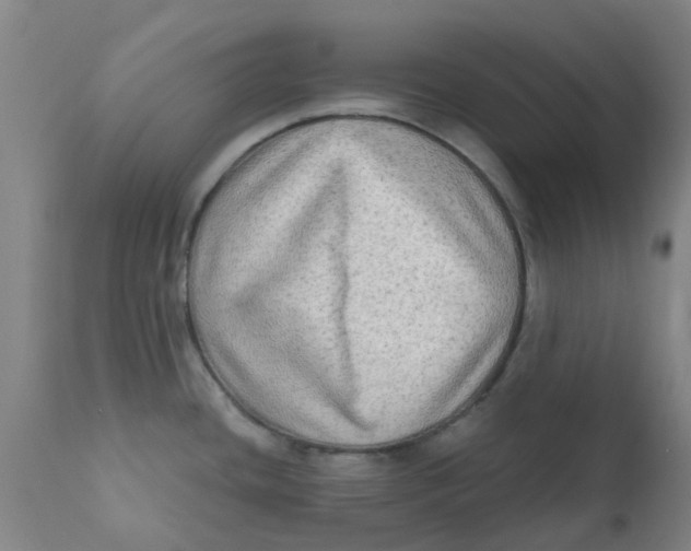 X0000111791436200908131402