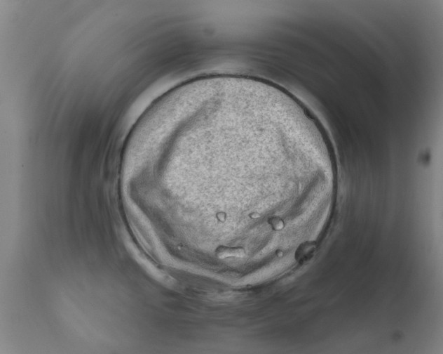 X0000111791437200908131402