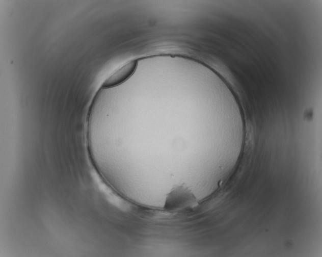 X0000111791439200908131402