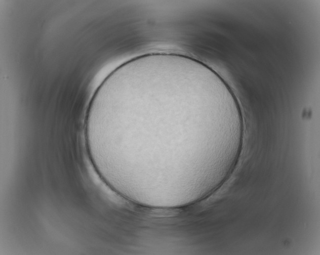 X0000111791440200908131402