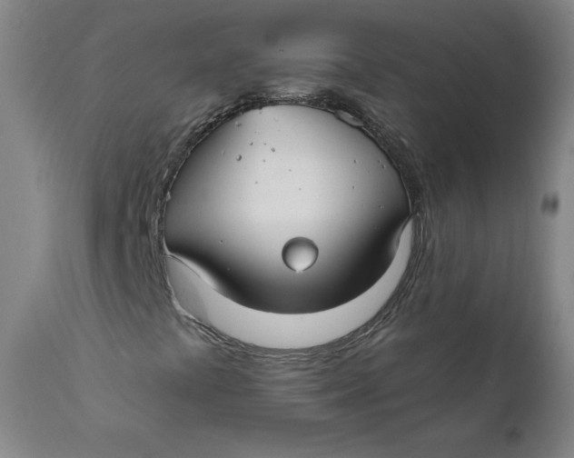 X0000111791441200908131401