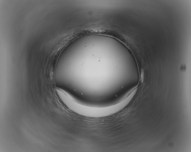 X0000111791444200908131401