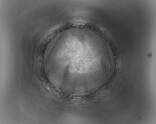 X0000111791445200908131401