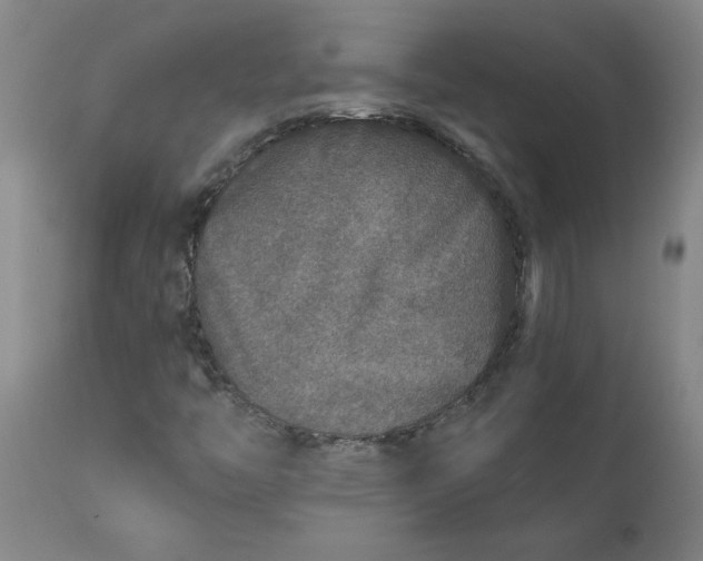 X0000111791446200908131401