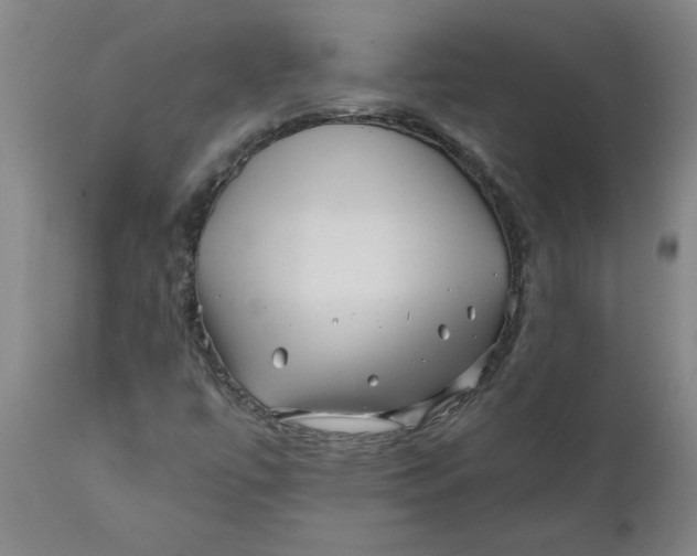 X0000111791447200908131401