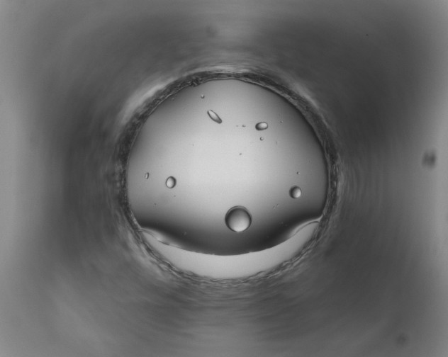 X0000111791448200908131401