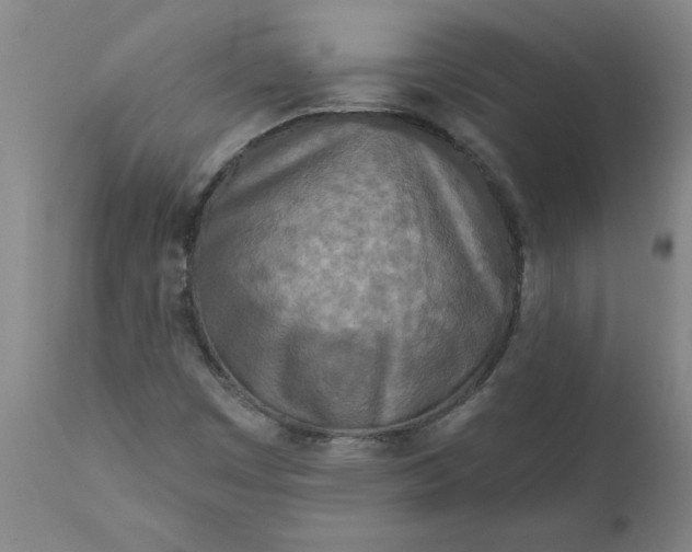 X0000111791449200908131401