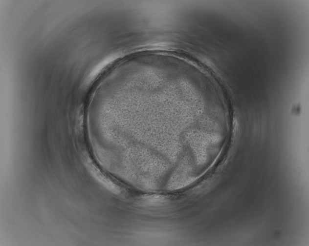 X0000111791450200908131401