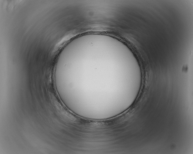 X0000111791451200908131401