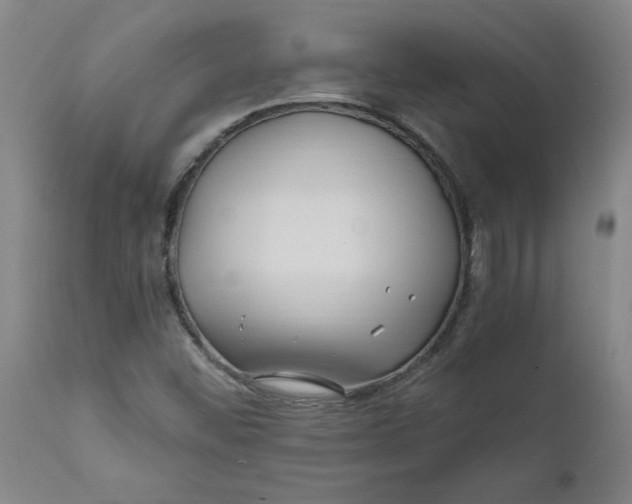 X0000111791452200908131401