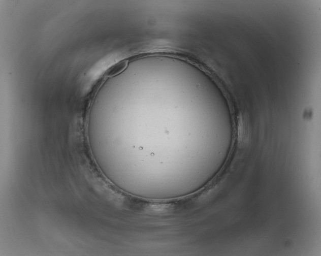 X0000111791453200908131401