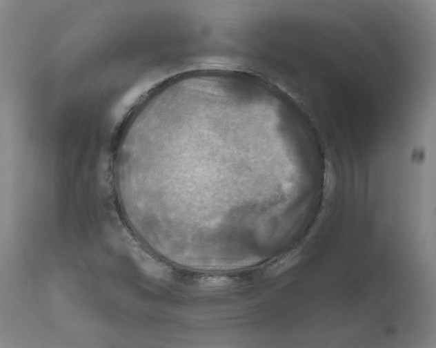 X0000111791454200908131401