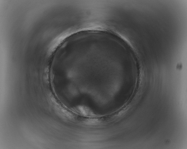 X0000111791455200908131401