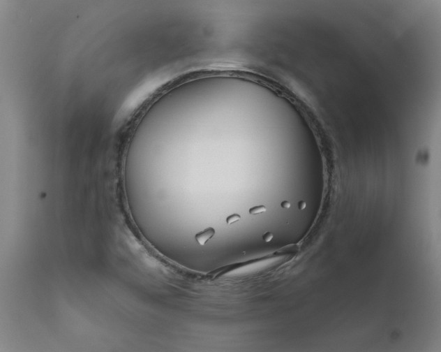 X0000111791456200908131401