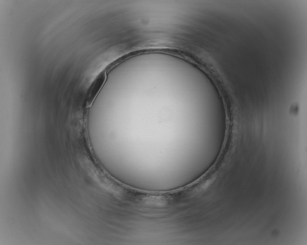 X0000111791457200908131401