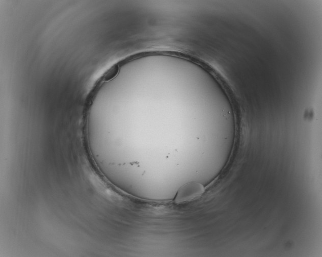 X0000111791460200908131401