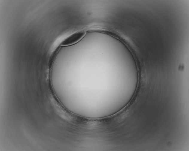 X0000111791461200908131401