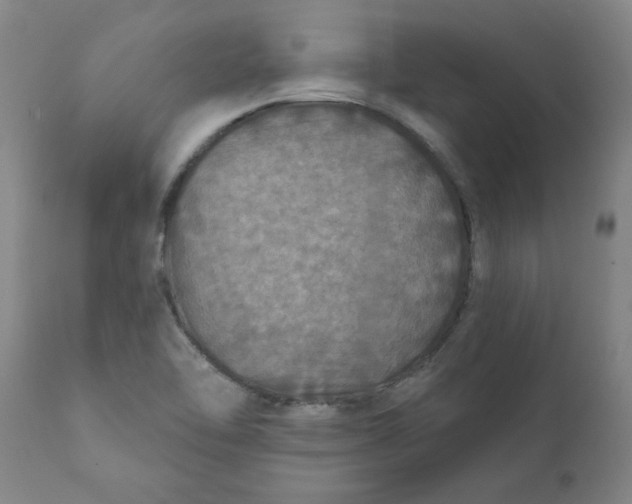 X0000111791462200908131401