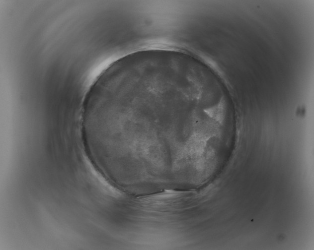 X0000111791463200908131401