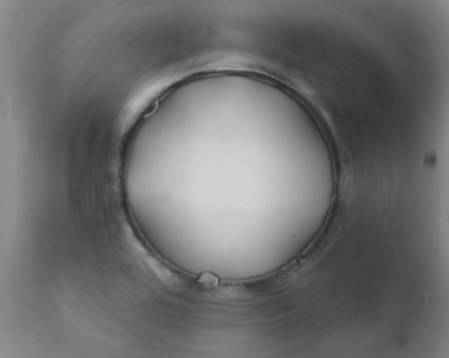 X0000111791464200908131401